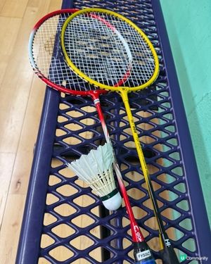 打羽毛球🏸