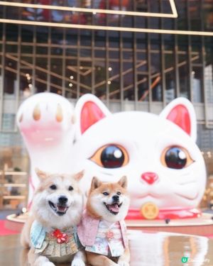 啟德雙子匯💞