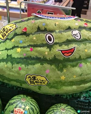 趣怪西瓜
