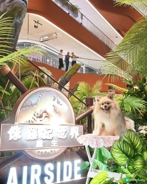 史前恐龍世界