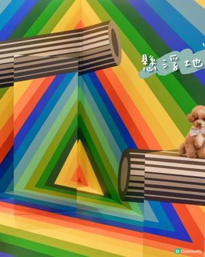 嘆住冷氣去藝術展覽打卡🐾