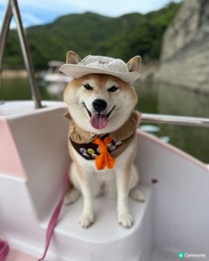 / 帶毛孩踩水上單車 \