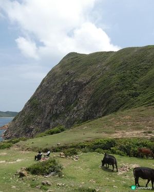 西貢冷門休閒山徑🏞️