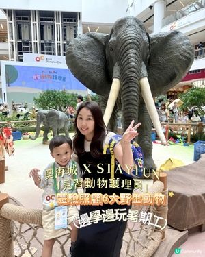 奧海城 X STAYFUN「見習動物護理員」