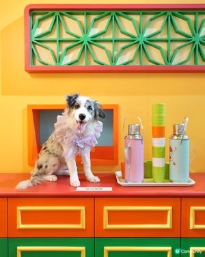 Wiggle Wiggle Pop-Up Store