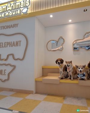 圓方睇《愉快動物餅》！🦁🐘 期間限定店開箱！🥳