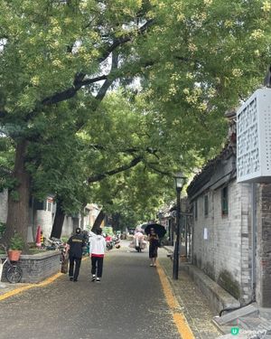 北京胡同咖啡☕️打卡！冷萃超正😋