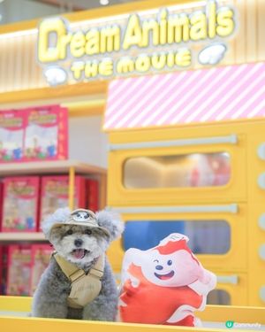 大家知唔知動物餅有冇樹熊🐨呢🧐?
