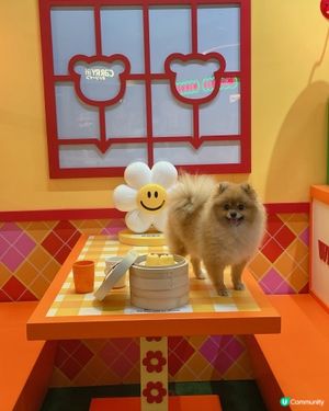 Airside - Wiggle Wiggle期間限定店🌈