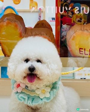 愉快動物