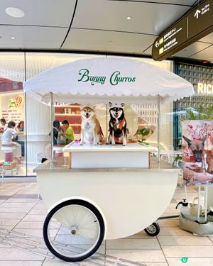 / 帶毛孩食雪糕 \