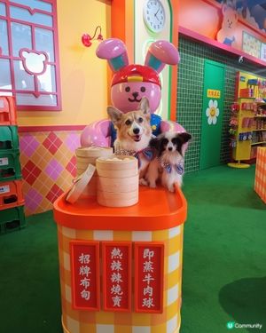 暑假帶毛孩去邊好?Wiggle Wiggle期間限定店