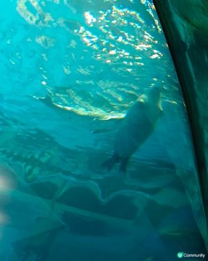 海洋公園