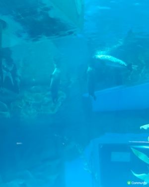 海洋公園