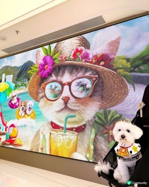 🐾【港島南新打卡熱點】✨ 