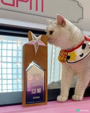 Apm貓狗天才表演大賽