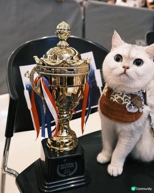 第五屆全港寵物萌主選拔賽總冠軍