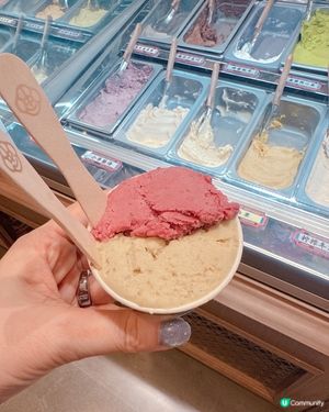 忠曜堂中式雪糕🍦！綠豆沙烏梅子超正😋！