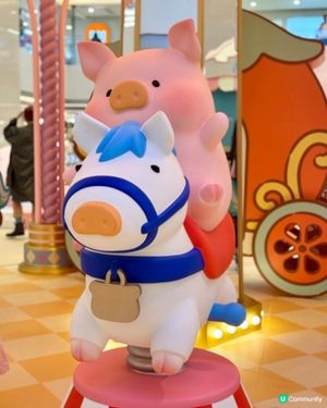 罐頭LuLu豬🐷粉絲必去