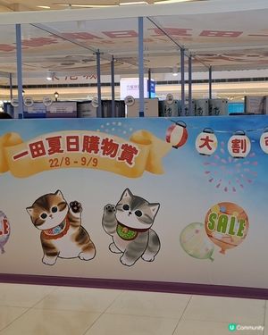 選購至抵心頭好❤️一田夏日購物賞🛍🤗