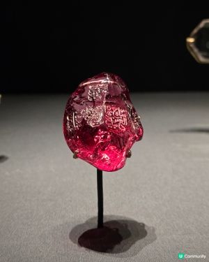 莫臥兒王朝瑰寶展💎！睇到你嘩嘩聲🤩！