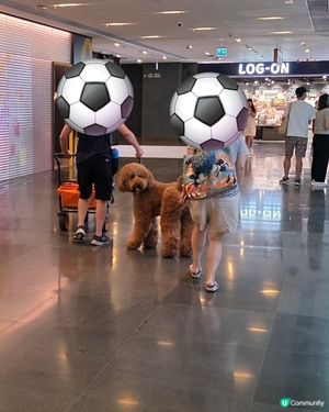 寵物友善商場