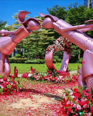北角會對出的海濱公園, 浪漫玫瑰花堆砌的擺設, 打卡一流.
