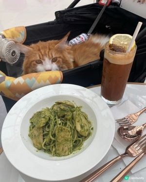 Pet friendly cafe