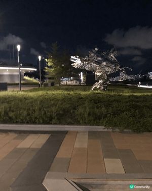 啟德海濱長廊，散步賞月一流！ 🌙🐶🏃‍♀️