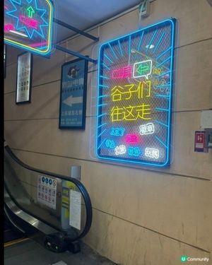 z世代