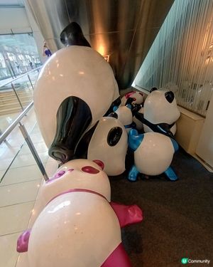 熊貓🐼變醉貓🍻⁉️