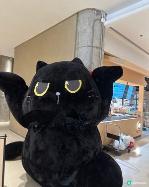 后海嘉樂道
