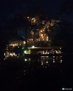 ⛵ 萬聖節版森林河流之旅