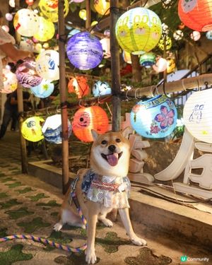 藍屋花燈 