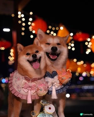 中秋節的東岸