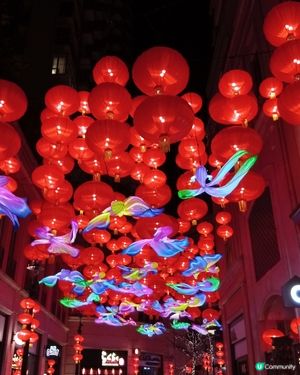 利東街「喜魚映花月」燈籠海🏮✨快啲去打卡！