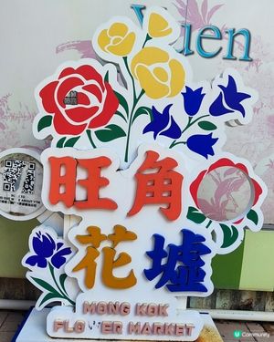 💐🌸🌺我愛花花之花墟賞花啦💐🌸🌺