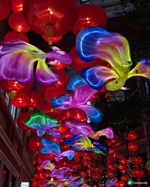 金魚裝飾