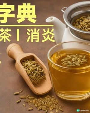 《蛇咬都唔驚》居家必備！近乎萬能☕ #茴香籽茶