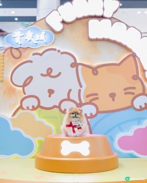 中秋節帶米蘇蘇去青衣城玩！🐶🌕🥳
