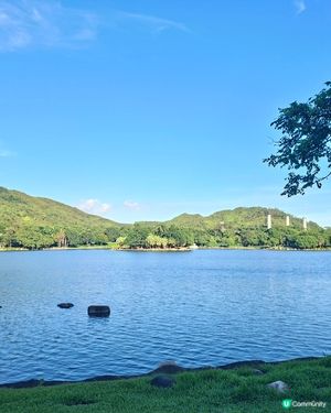 迪欣湖野餐親子遊🥰免費玩到盡🥳