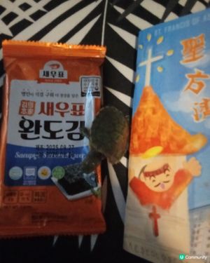 Dazs Aquarium Pet Center 