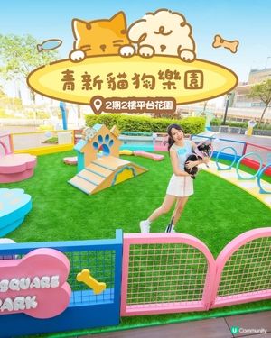 青衣城戶外「青新貓狗樂園」升級設施推貓狗友善環境