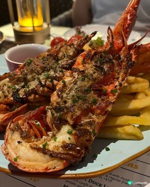 西營盤西式餐廳出名吃烤龍蝦🦞正呀喂😋焗龍蝦通粉超拉絲超濃