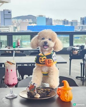 餓虎藏龍 萬聖節大餐