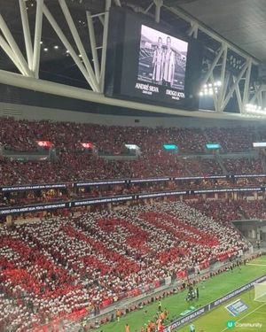 足球粉絲❤️⚽️