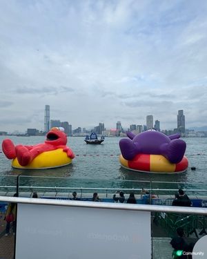 維港海上大巡遊