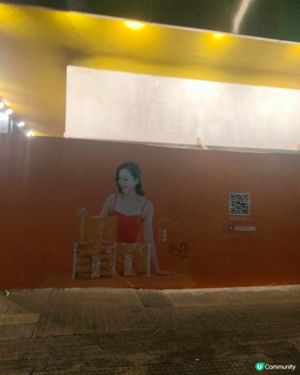 彌敦道花膠店圍版📸！陳茵媺等你嚟打卡！🤩