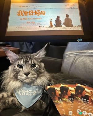 貓貓睇戲初體驗！電影《我會好好的》首映禮🎬