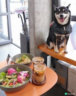 排隊店意粉唔錯，甜品就…🙃